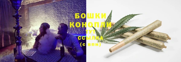 ПСИЛОЦИБИНОВЫЕ ГРИБЫ Верхнеуральск
