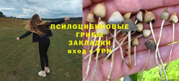 ПСИЛОЦИБИНОВЫЕ ГРИБЫ Верхнеуральск